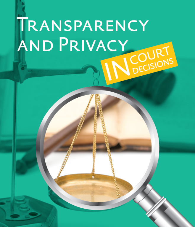 Transparency and Privacy in Court Decisions